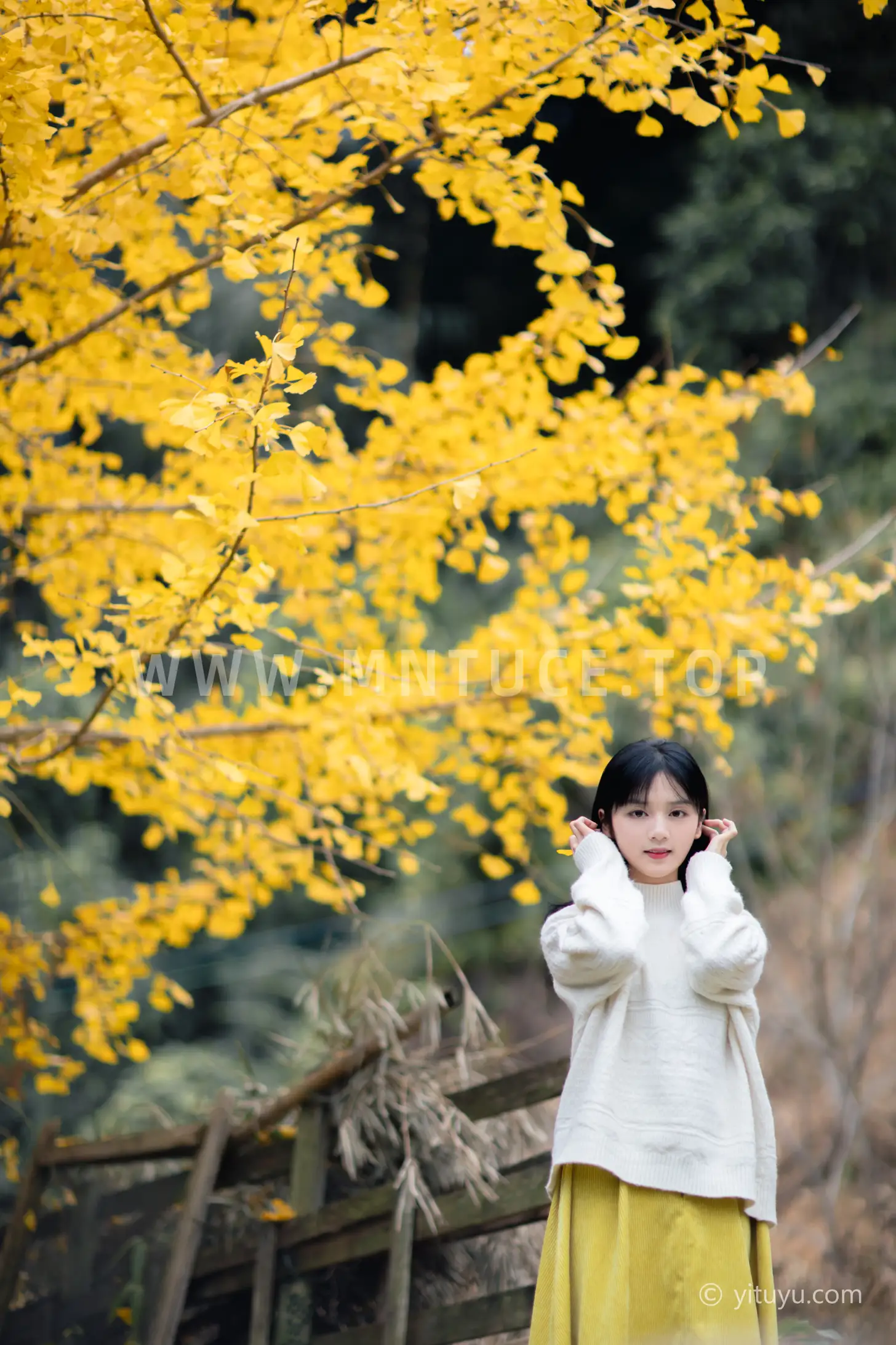 [YITUYU] 2021.08.14 Vol.131 – Ginkgo Love Yuwen#[39P]-18